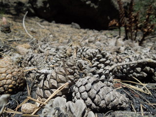 Grotta dei Lamponi